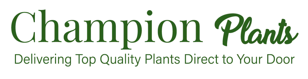 Champion Plants